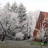 Winter-Impressionen