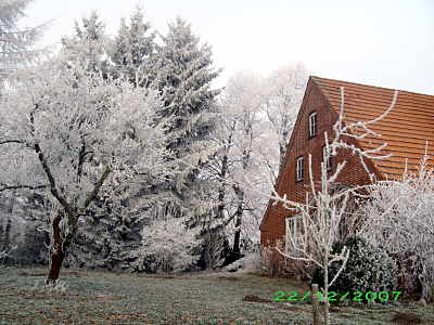 Winter-Impressionen