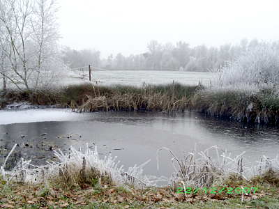 Winter-Impressionen