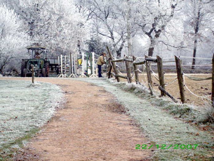 Winter-Impressionen
