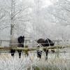 Winter-Impressionen