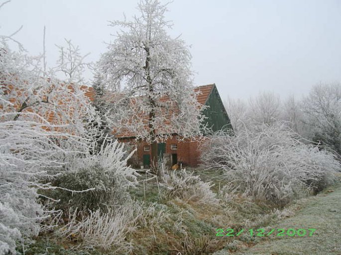 Winter-Impressionen