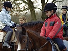 Reitangebot Reiten