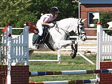Wettbewerbe Springreiten