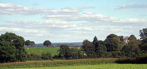 Foto: Landschaft Wallhöfen